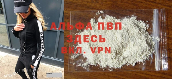 гашик Новозыбков