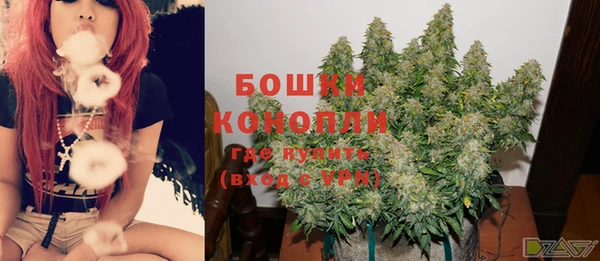 стаф Нягань
