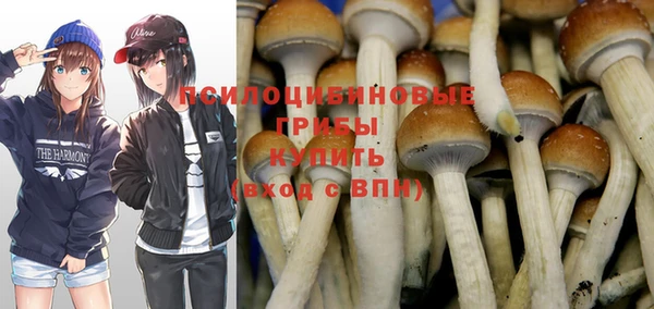 стаф Нягань