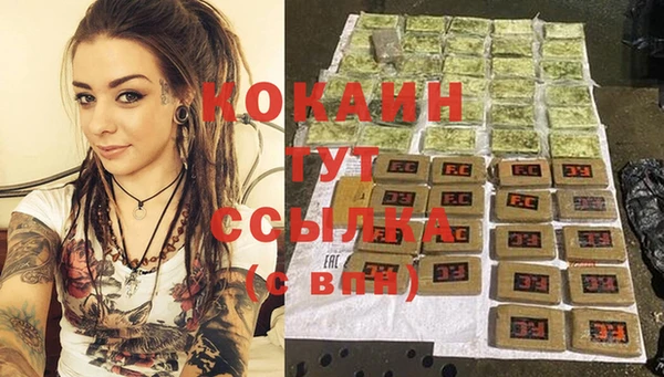 гашик Новозыбков