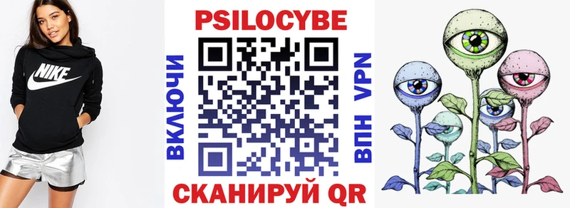 Псилоцибиновые грибы мухоморы  где купить наркотик  Пикалёво 